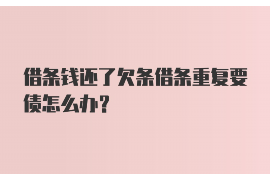 肥城为什么选择专业追讨公司来处理您的债务纠纷？